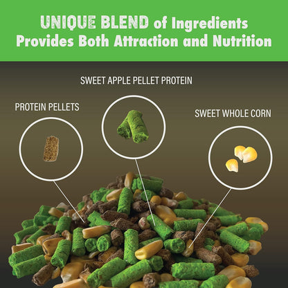 4-4-2 Apple + Persimmon Bundle