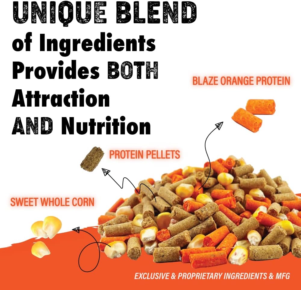 4-4-2 Blaze + Wild Bundle